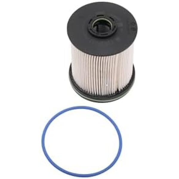 Parts GM Genuine Parts TP1015 (13539108) Fuel Filter Kit with Seals